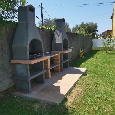 Villa Flora Affittacamere Luni Kültér fotó