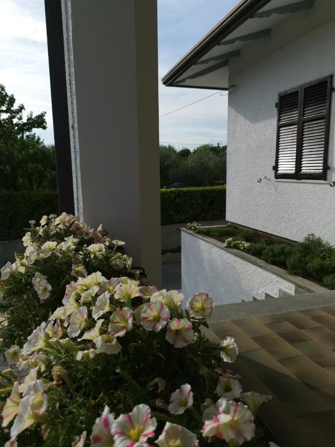 Villa Flora Affittacamere Luni Kültér fotó